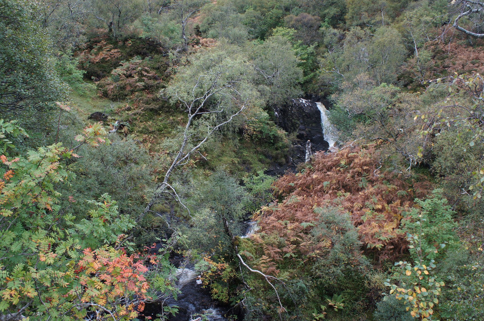 Waterfall in wooded area in Scotland