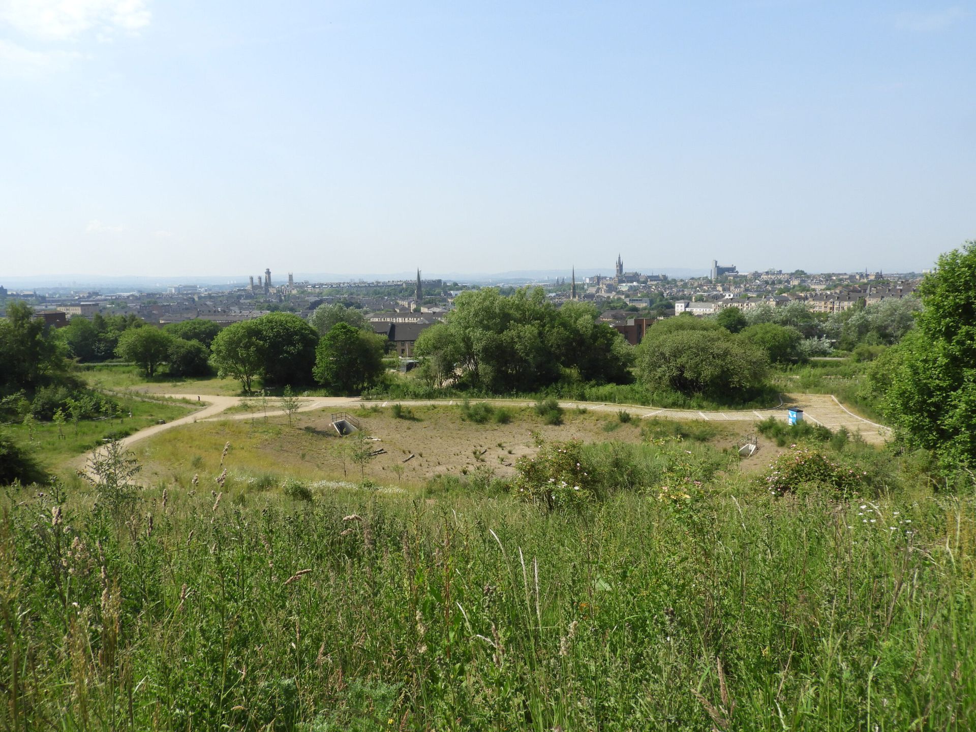Carex-Racomitrium heath on Glas Maol