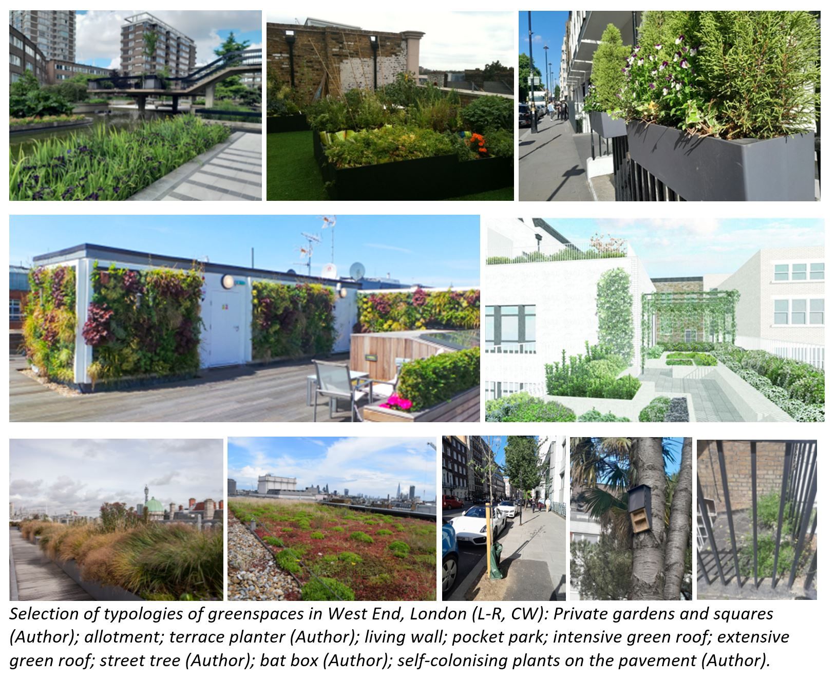 Towards multispecies urbanism: Negotiating space for and with wildlife in design practice