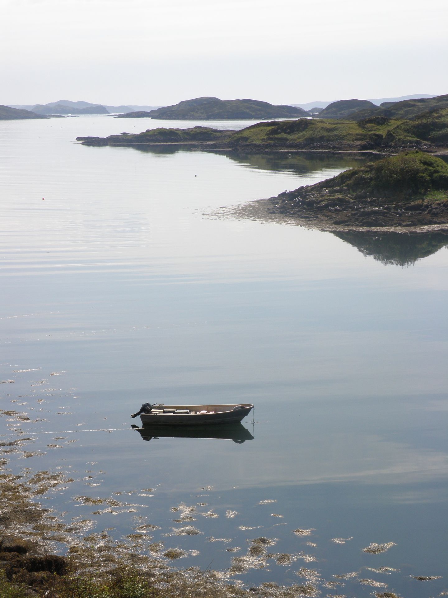 A picture of a row boat moored in Scotland