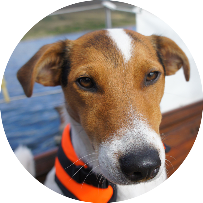 Whyte is a keen adventurer and has collected a mountain of treasure (toys).